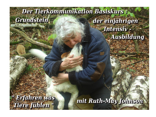 Tierkommunikation Basis-Kurs 27/28 Feb. 2021 - auf Triviar