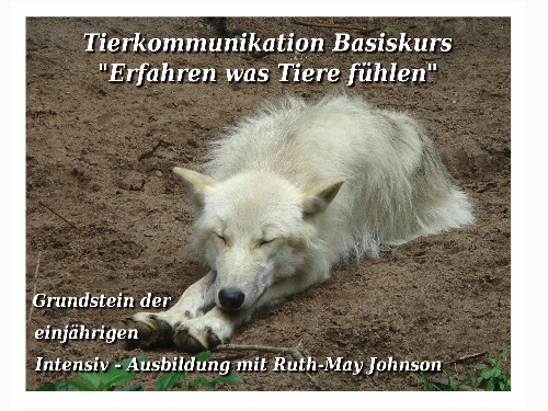Tierkommunikation Basis-Kurs 15/16 Mai 2021 - auf Triviar