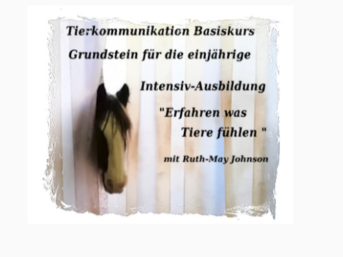 Tierkommunikation Basis-Kurs 24/25 April 2021 - auf Triviar