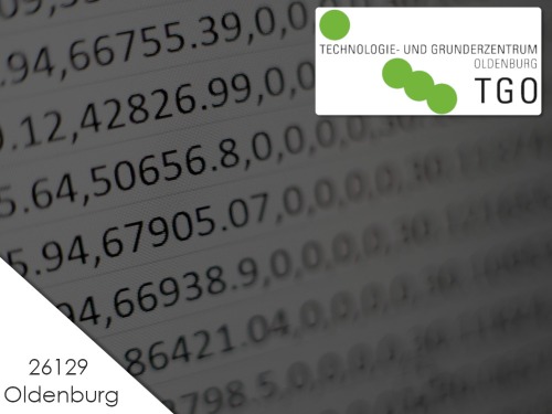 Die betriebswirtschaftliche Auswertung (BWA) - auf Triviar