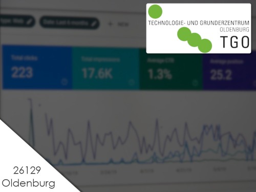 SEO - Suchmaschinenoptimierung für Einsteiger - auf Triviar