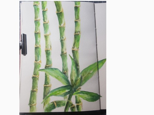 Bambus-Aquarell-Workshop 3 teilig - auf Triviar