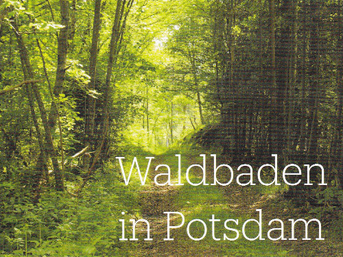 Waldbaden in Potsdam - auf Triviar