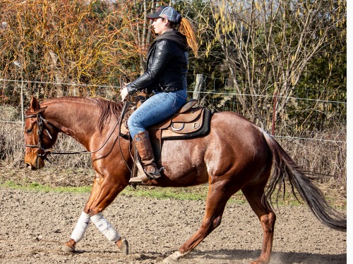 Online Kurs - Ride In Balance / Muskelaufbau - auf Triviar