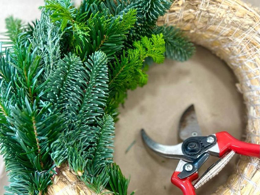 Wintergrün wird mit Haftnadeln auf Kranzrömer gesteckt