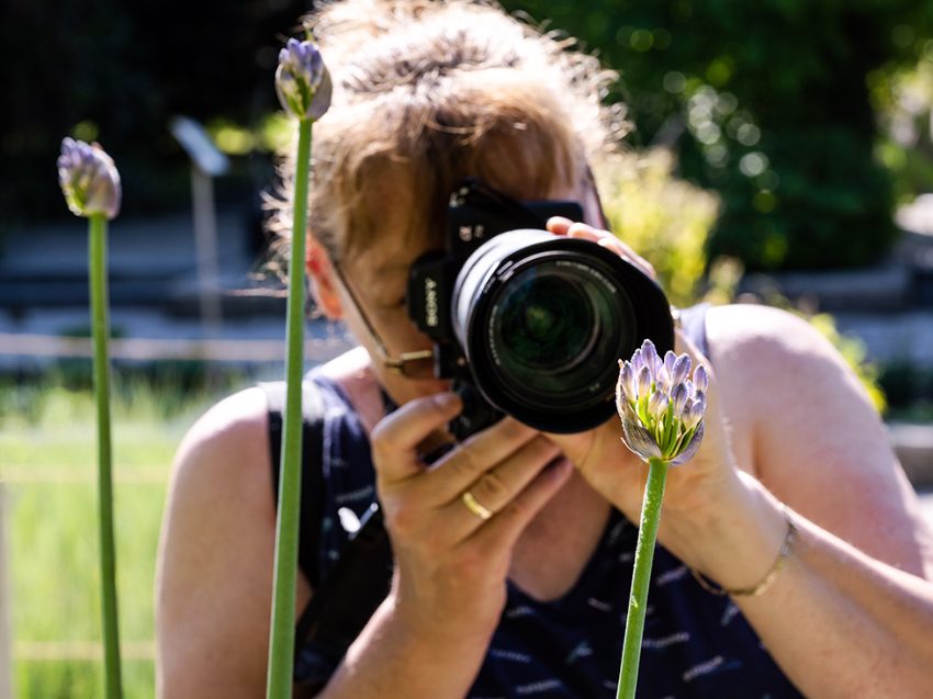 Fotokurs in Berlin - Makrofotografie