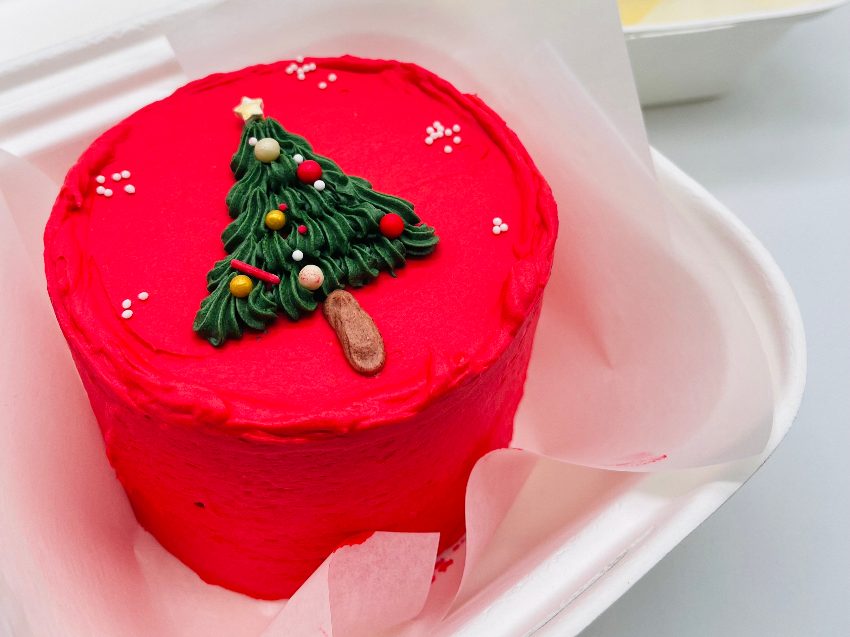 Backkurs in Hamburg - Workshop Bento Cake